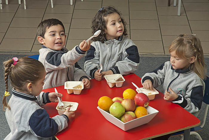 colacion_generica (3)